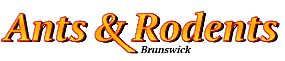 Brunswick Ant Exterminator & Rodent Control Company Logo